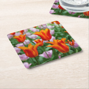 Bright orange tulips in the park square paper coaster