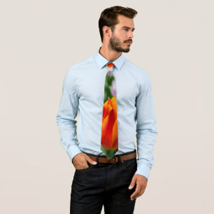 Bright orange tulips in the park    tie