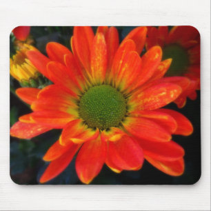Bright Orange with Raindrops Mouse Pad