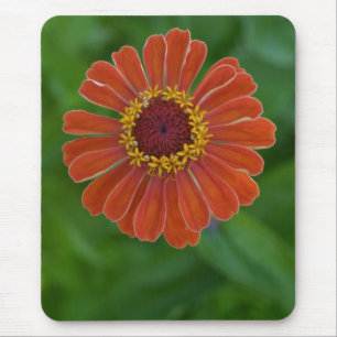 Bright Orange Zinnia Flower Blossom mousepad