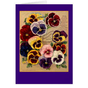 Bright Pansies Seed Packet Art on Cards