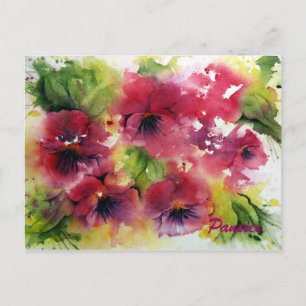 Bright Pansy Postcard