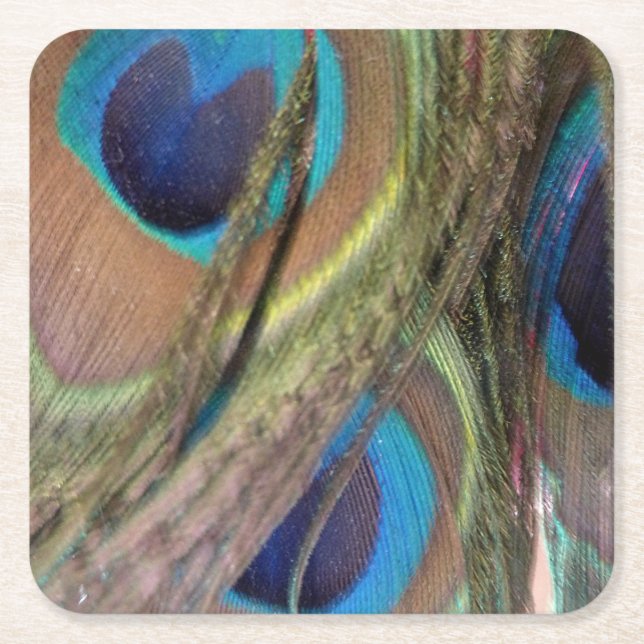 Bright Peacock Feathers Pattern Paper Coaster (Front)