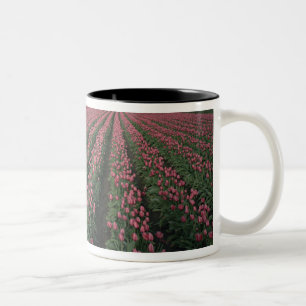 Bright pink and red tulips glow under dark Two-Tone coffee mug
