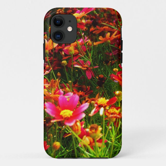 Bright pink and yellow Daisy Wild flowers Case-Mate iPhone Case (Back)
