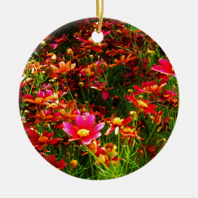 Bright pink and yellow Daisy Wild flowers Ceramic Tree Decoration (Front)
