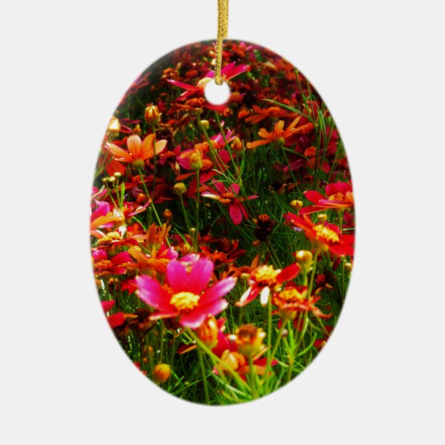 Bright pink and yellow Daisy Wild flowers Ceramic Tree Decoration (Front)