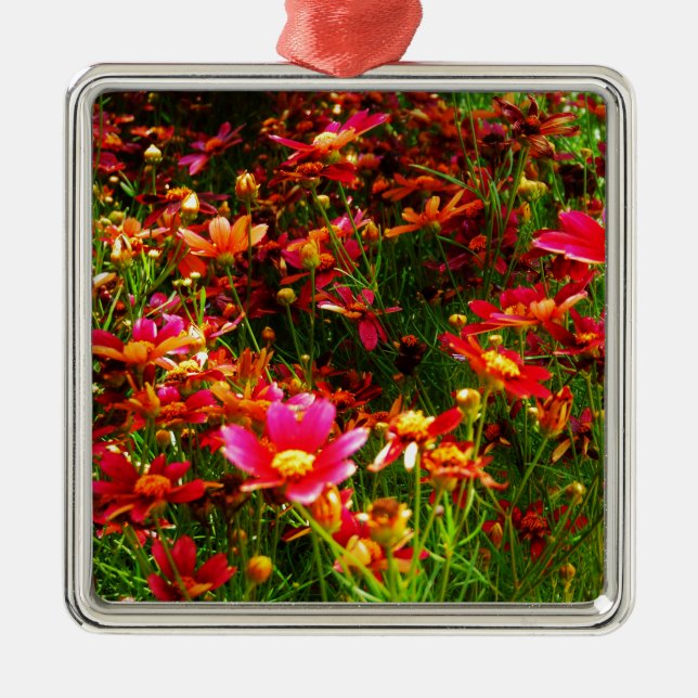 Bright pink and yellow Daisy Wild flowers Metal Tree Decoration (Front)