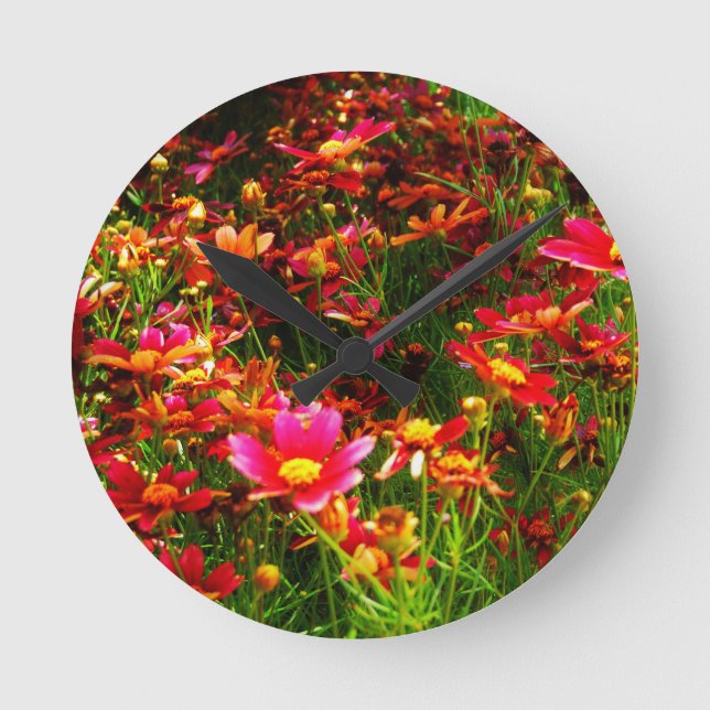 Bright pink and yellow Daisy Wild flowers Round Clock (Front)