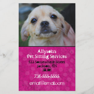 Bright Pink Background Pet Sitting Flyers