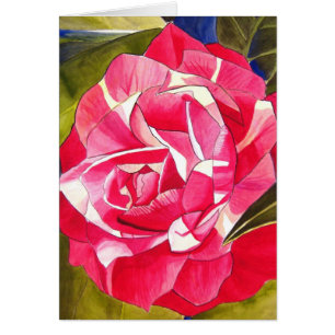 Bright pink Camellia flower