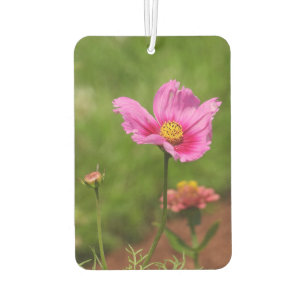 Bright Pink Cosmos Flower on Green Car Air Freshener
