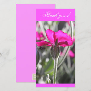 Bright Pink Dusty Miller Flower Thank You Card