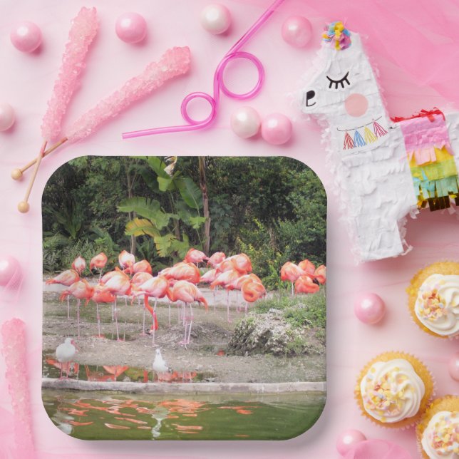 Bright Pink Flamingo Flock Tropical Illustration Paper Plate (Party)