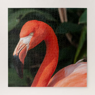 Bright Pink Flamingo Jigsaw Puzzle