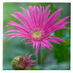 Bright pink flower ceramic tile