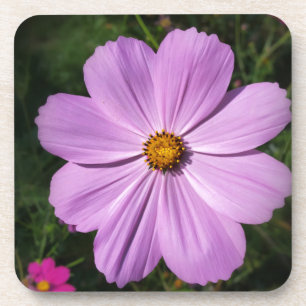bright pink flowers coaster