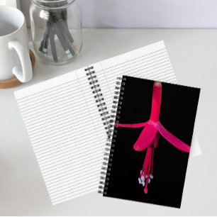 Bright Pink Fuchsia Flower on Black Notebook