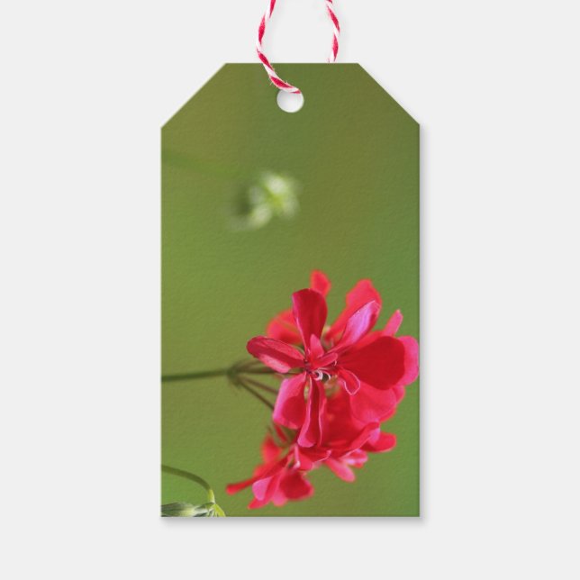 Bright Pink Geranium Floral Editable Gift Tag (Front)