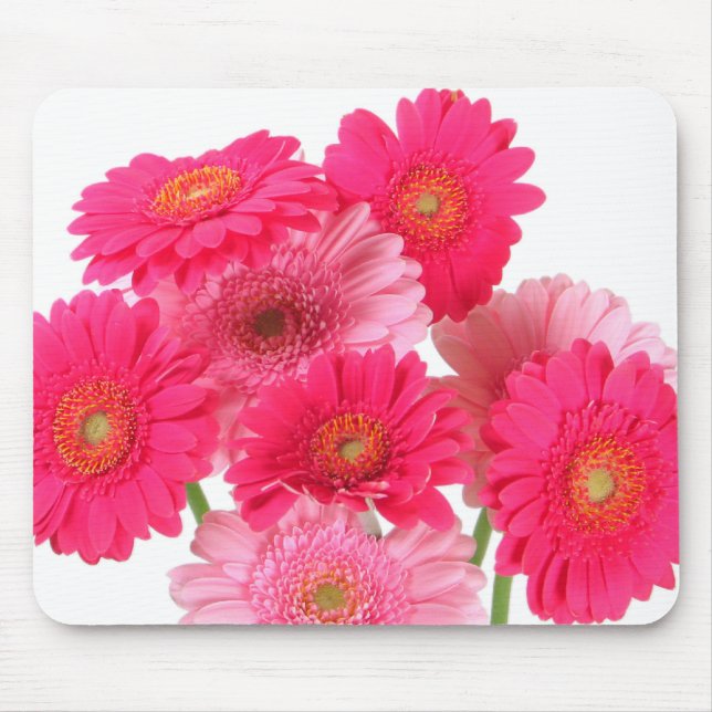 Bright Pink Gerbera Daisies Mouse Mat (Front)