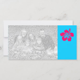 Bright Pink Hibiscus