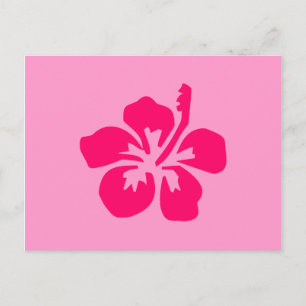 Bright Pink Hibiscus Postcard