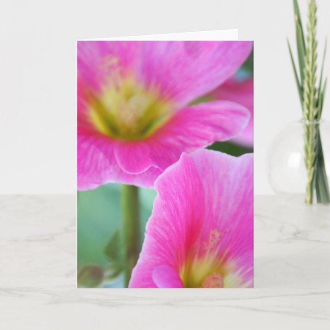 Bright Pink Hollyhocks Card (Front)