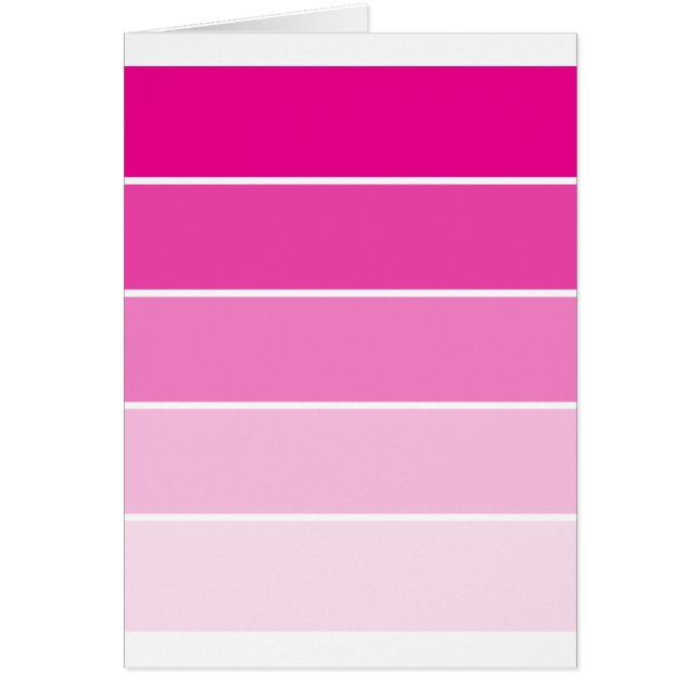 Bright Pink Paint Samples (Front)