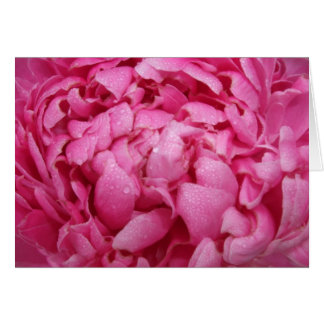 Bright Pink Peony Card