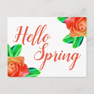 Bright Pink Roses Hello Spring Postcard