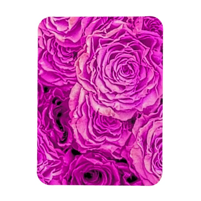 Bright Pink Roses Magnet (Vertical)