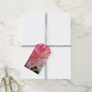 Bright Pink Strawflower Gift Tags