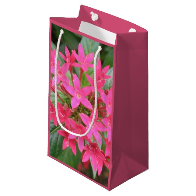 Bright Pink Tropical Flowers Gift Bag (Front Angled)