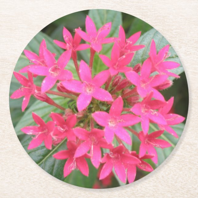 Bright Pink Tropical Flowers Paper Coasters (Front)