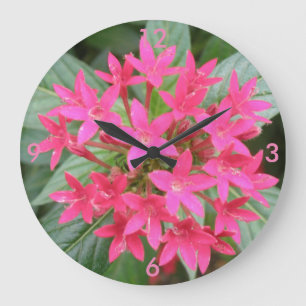 Bright Pink Tropical Flowers Wall Clock
