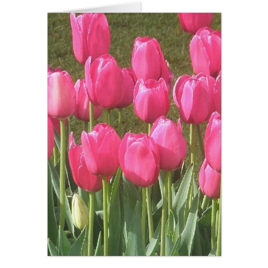 Bright Pink Tulip Garden Card