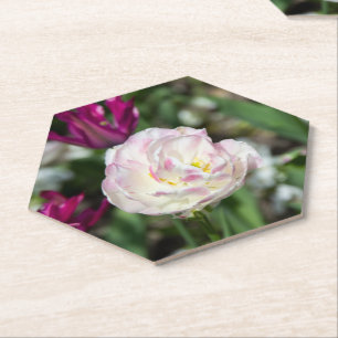 Bright pink tulips on a sunny day  paper coaster