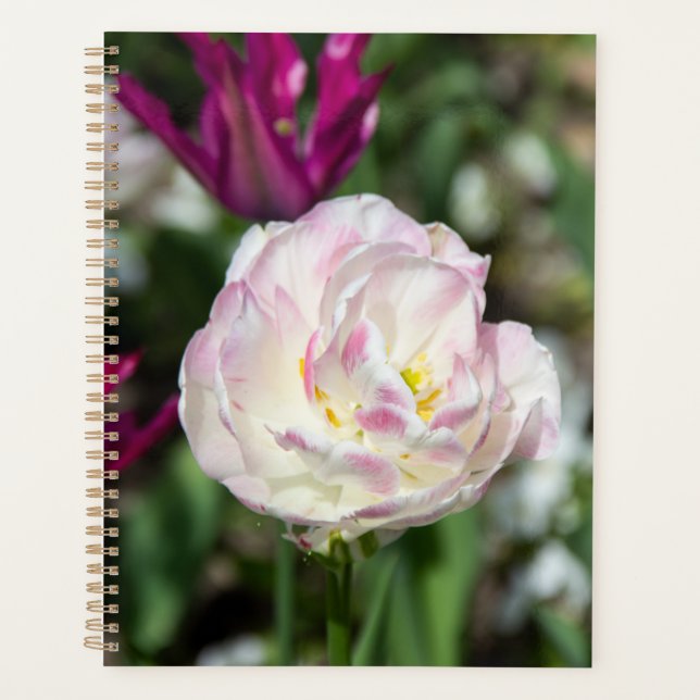 Bright pink tulips on a sunny day   planner (Front)
