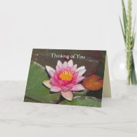 Bright Pink Water Lily Flower Thinking of You