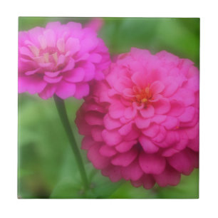 Bright Pink Zinnia Flowers Tile