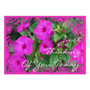 Bright Pk 4 o'clock flowers-customise any occasion