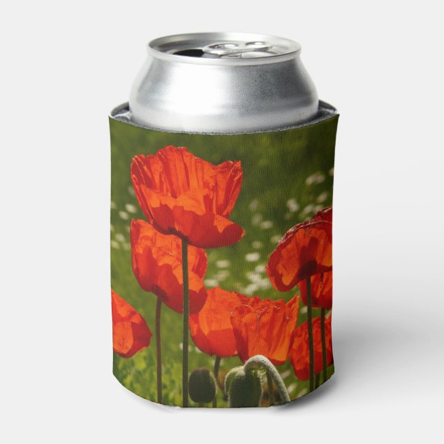 Bright Poppies Close Up Photo Can Cooler (Can Front)