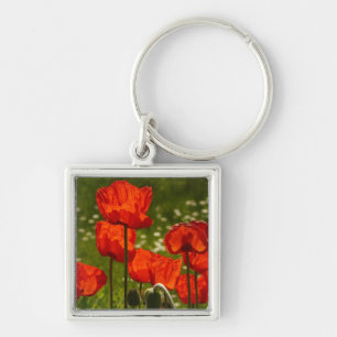 Bright Poppies Close Up Photo Key Ring