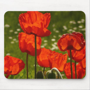 Bright Poppies Close Up Photo Mouse Mat