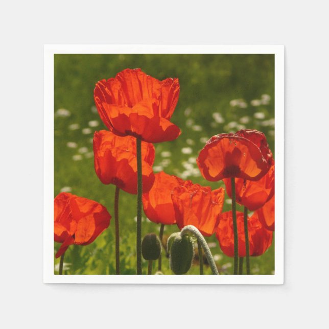 Bright Poppies Napkin (Front)