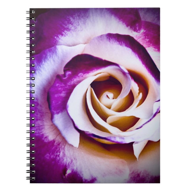 Bright Purple Flower Notebook  (Front)