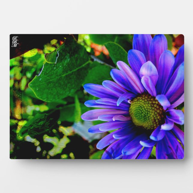 Bright Purple Flower Plaque (Front)