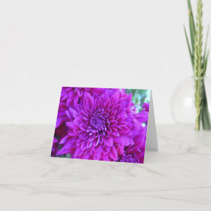 Bright Purple Mums Note Card
