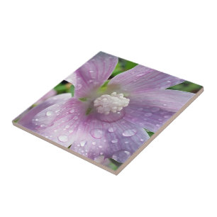 Bright purple tile