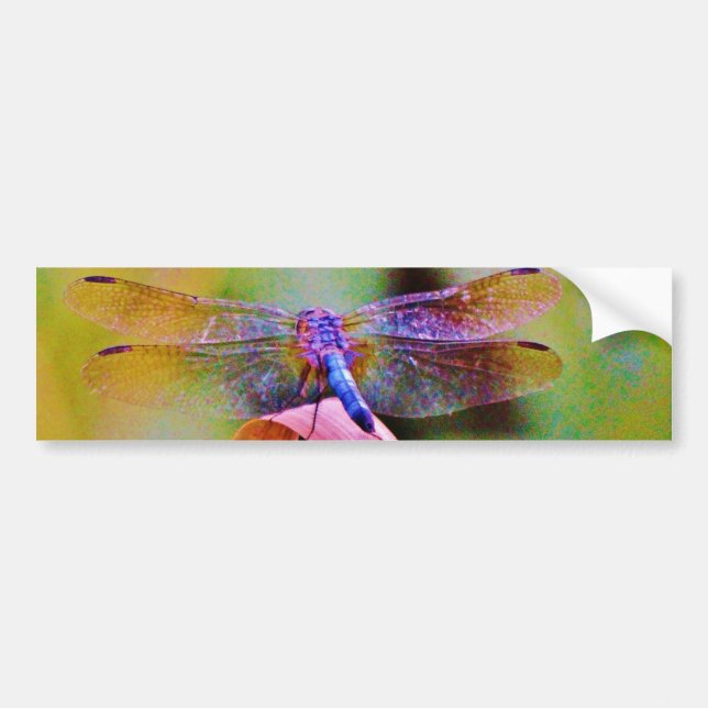 Bright Rainbow Pink Dragonfly Bumper Sticker (Front)